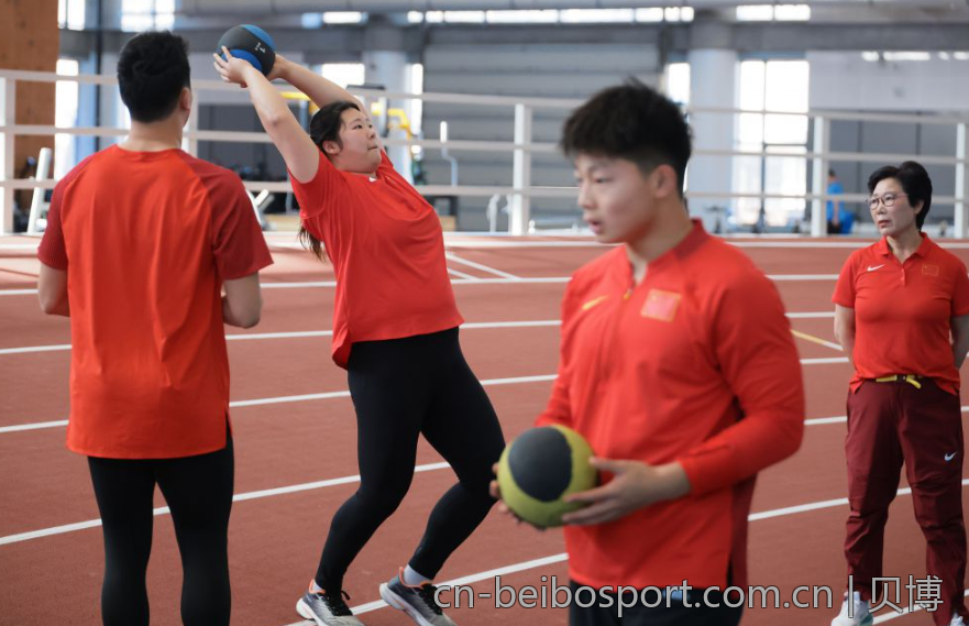 体验贝博bb平台体育官方的独特魅力